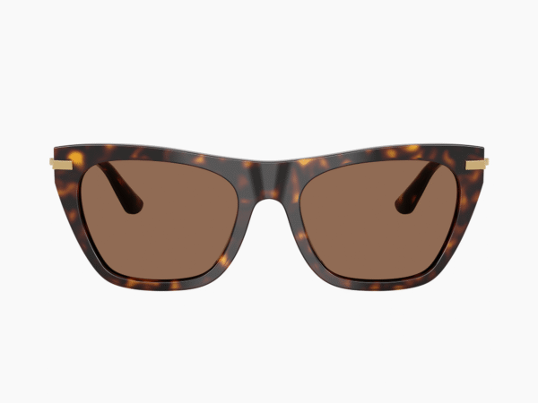 Alternative view of Dolce&Gabbana DG4511 502/73 - Havana