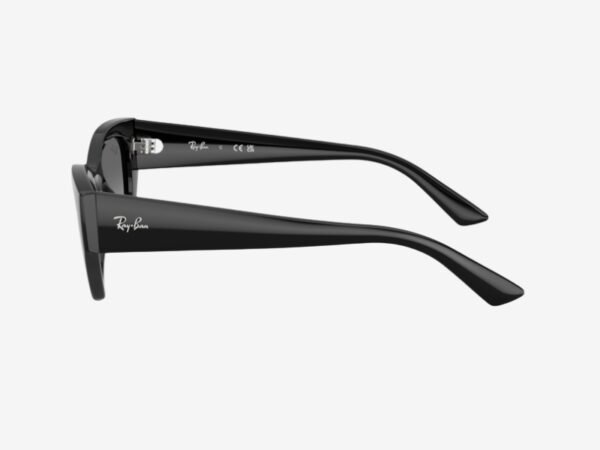 Alternative view of Ray-Ban 4430 667711