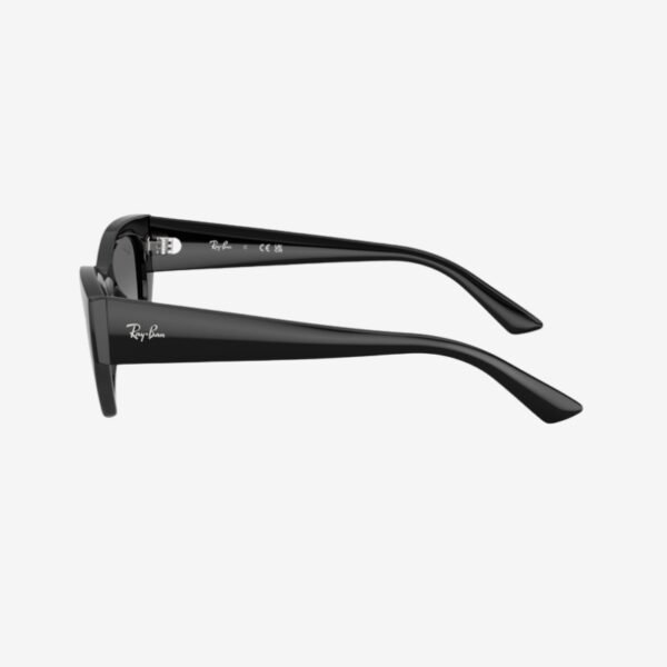 Alternative view of Ray-Ban 4430 667711