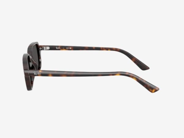 Alternative view of Ray-Ban 4455 135987