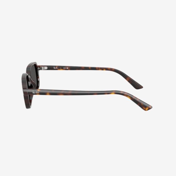 Alternative view of Ray-Ban 4455 135987