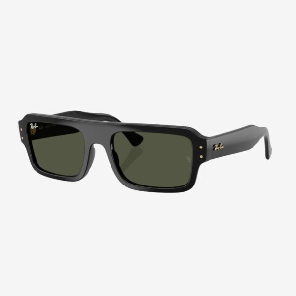 Ray-Ban 4454 667731