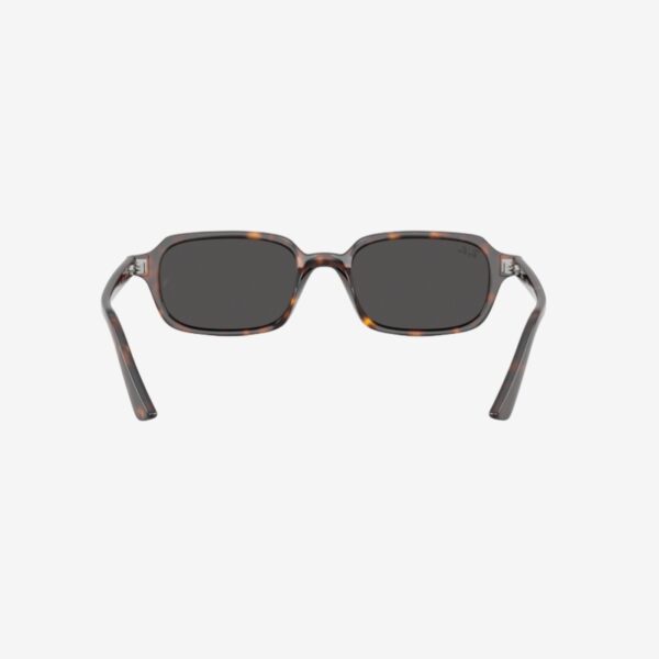Alternative view of Ray-Ban 4455 135987