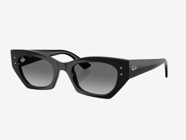 Ray-Ban 4430 667711