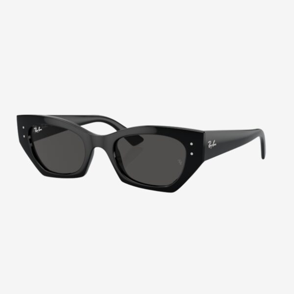 Ray-Ban 4430 667787
