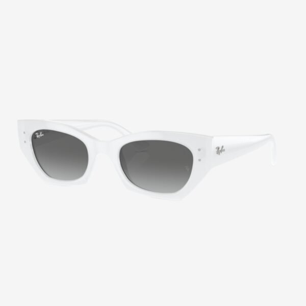 Ray-Ban 4430 675911