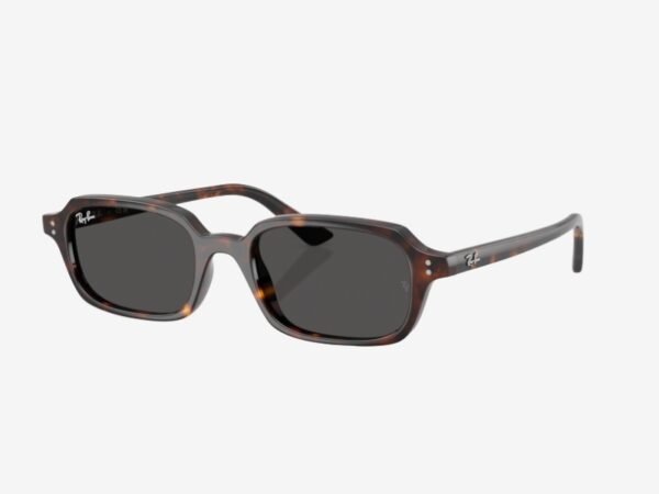 Ray-Ban 4455 135987