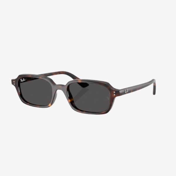 Ray-Ban 4455 135987