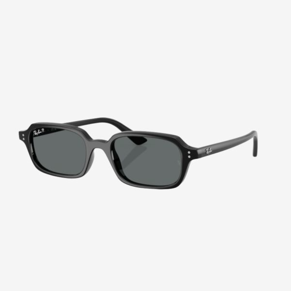Ray-Ban 4455 667781