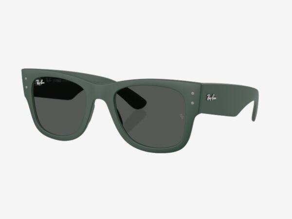 Ray-Ban 4840S 665787