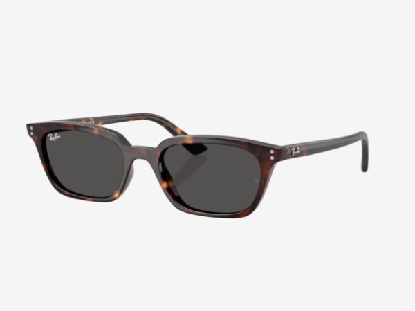 Ray-Ban 4456 135987