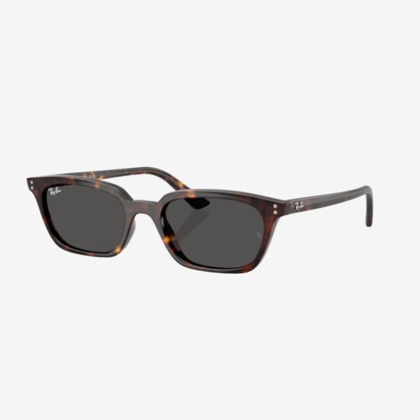 Ray-Ban 4456 135987