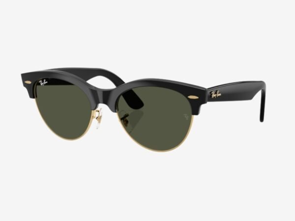 Ray-Ban 2341 901/31