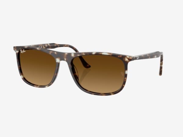 Ray-Ban 2216 143185