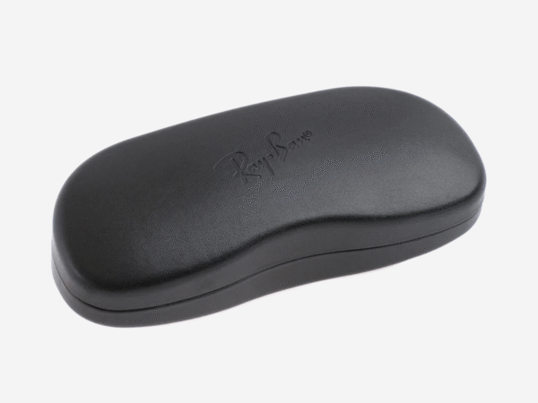 Astuccio Custodia Ray-Ban Rigido Nero