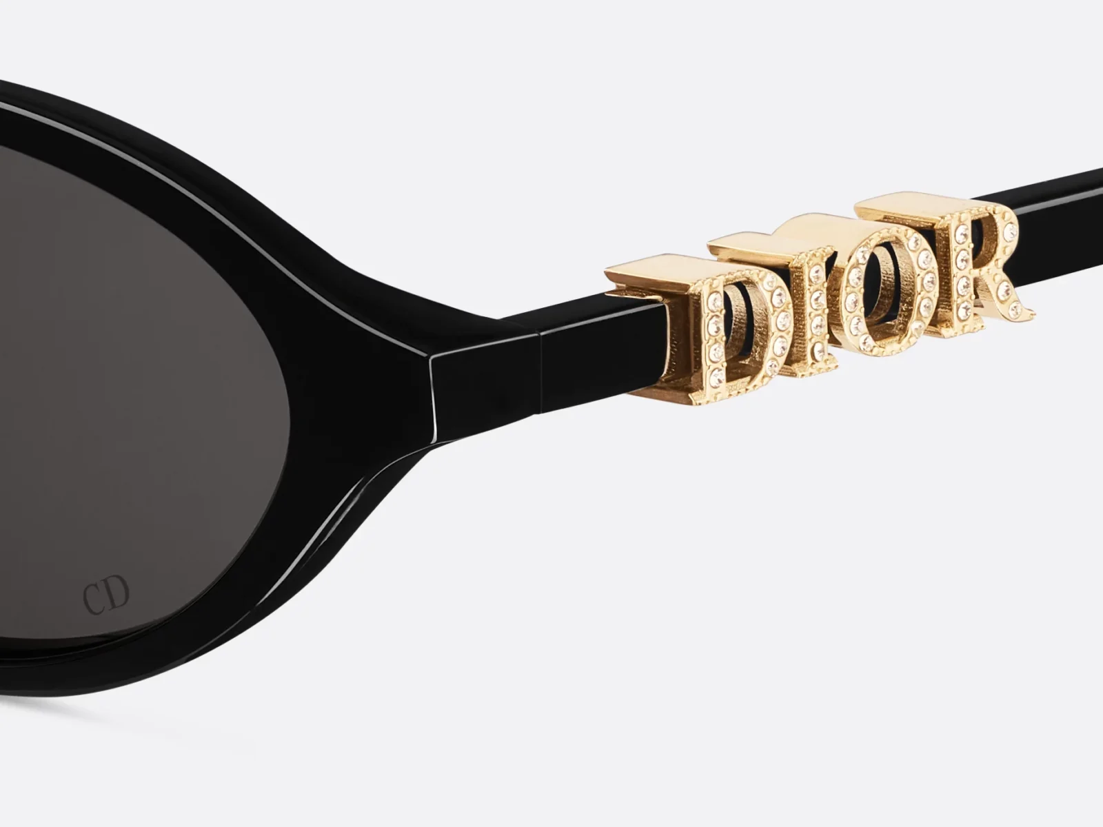 Alternative view of DiorTreasure R1I - DTRER1ISR_10A0