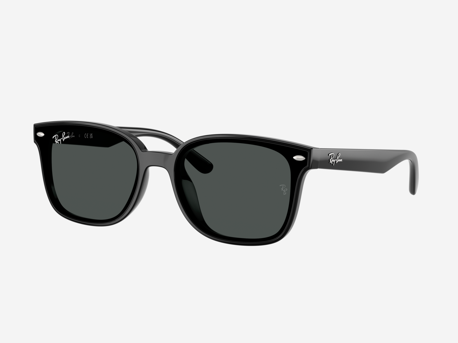 Occhiali da sole RayBan 0RB4461D 601/87 - Nero