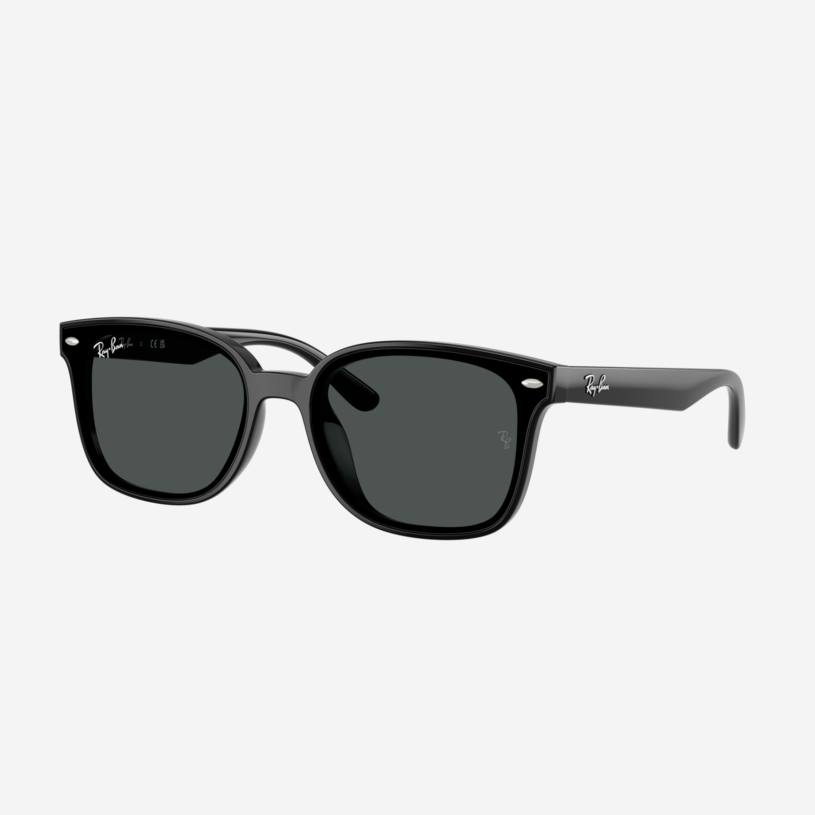 Occhiali da sole RayBan 0RB4461D 601/87 - Nero
