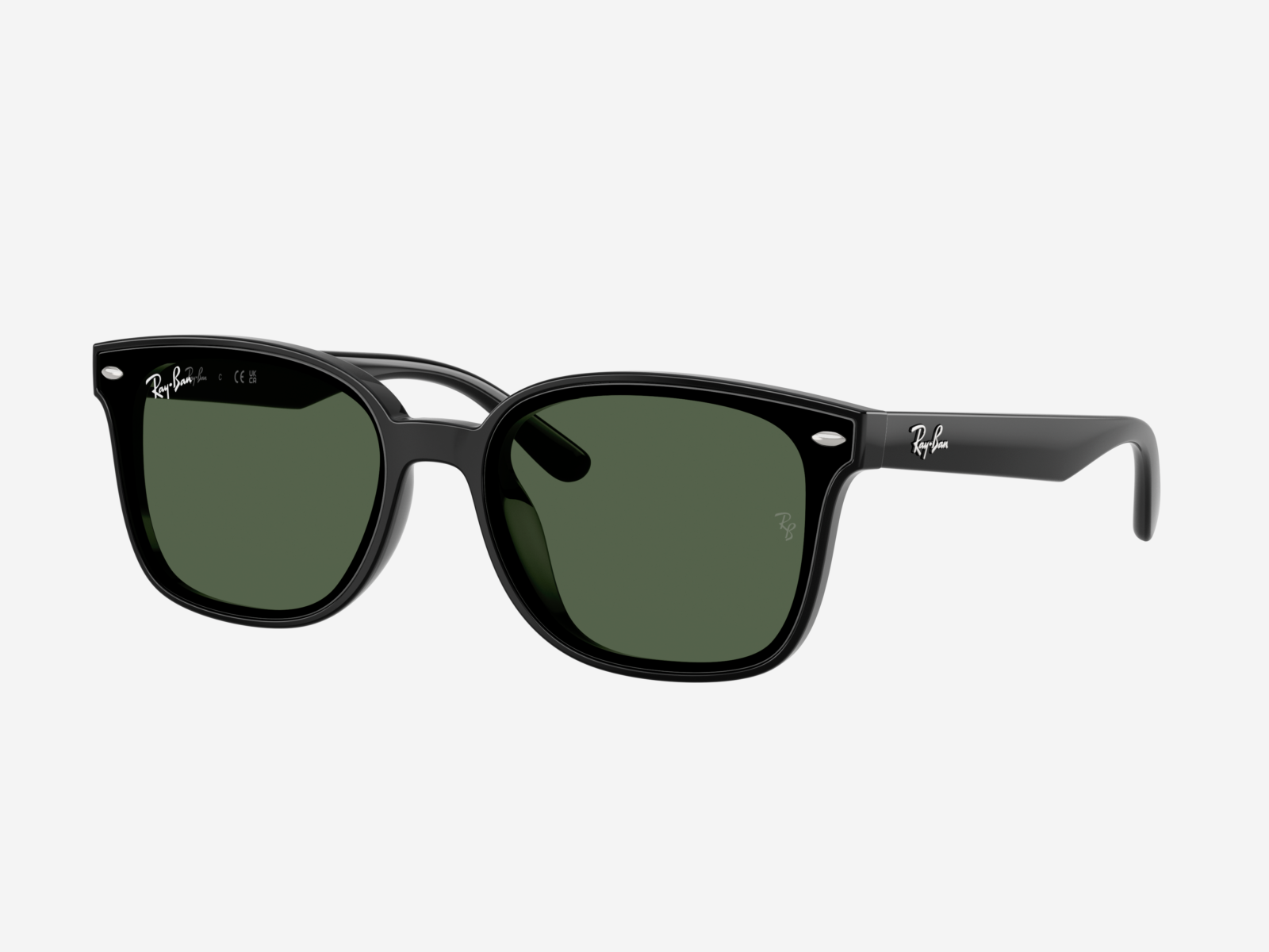Occhiali da sole RayBan 0RB4461D 601/71 - Nero