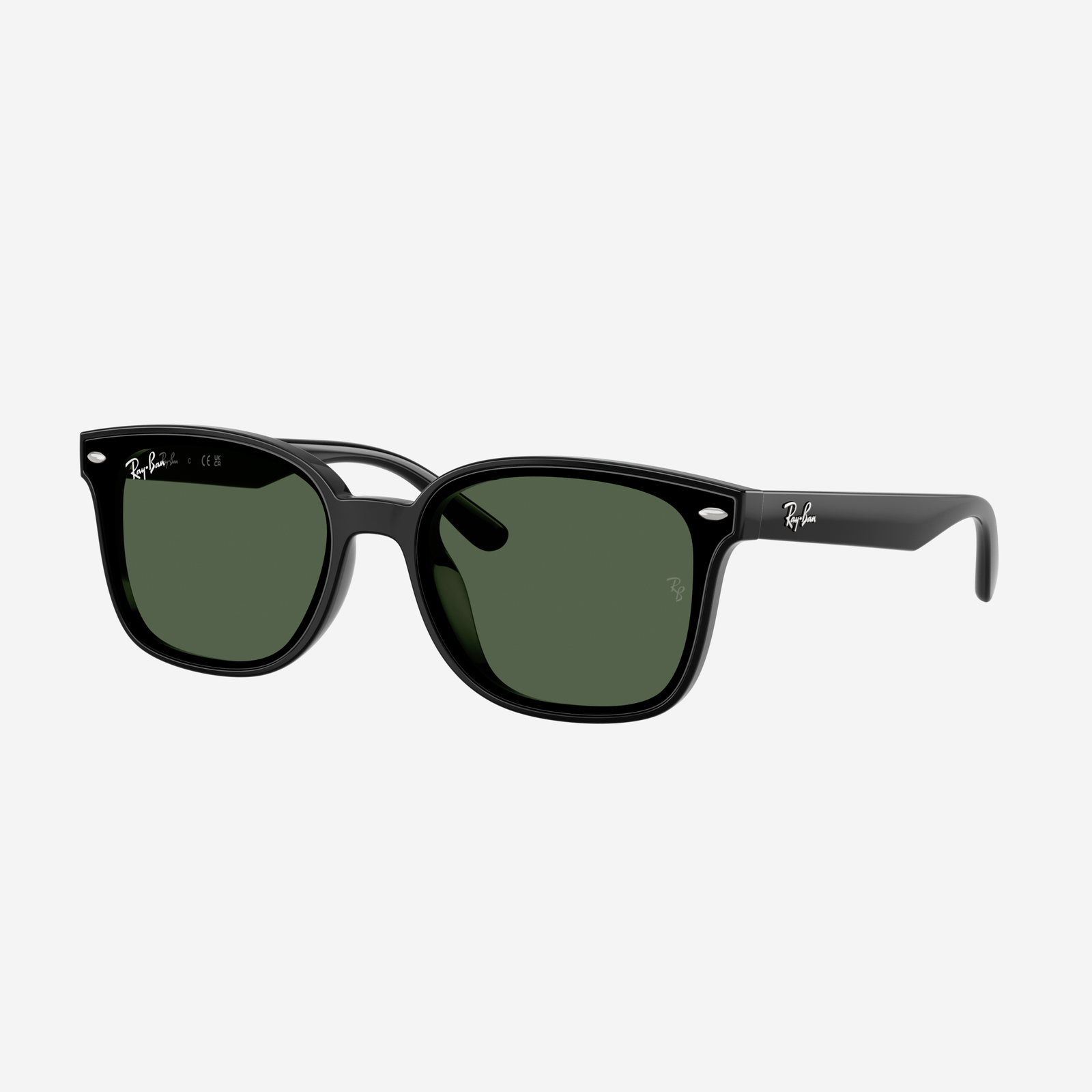 Occhiali da sole RayBan 0RB4461D 601/71 - Nero