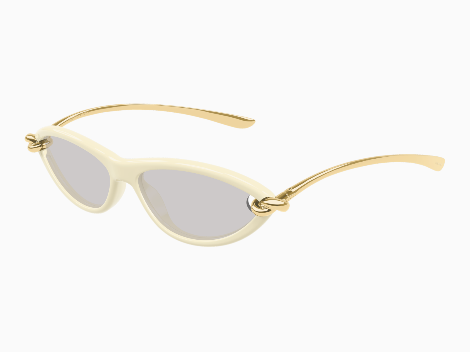 Bottega Veneta BV1389S-007