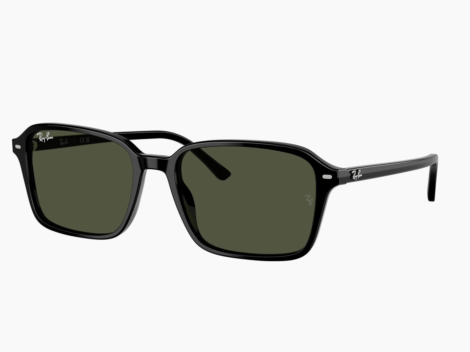 Ray-Ban RB2231 901/31